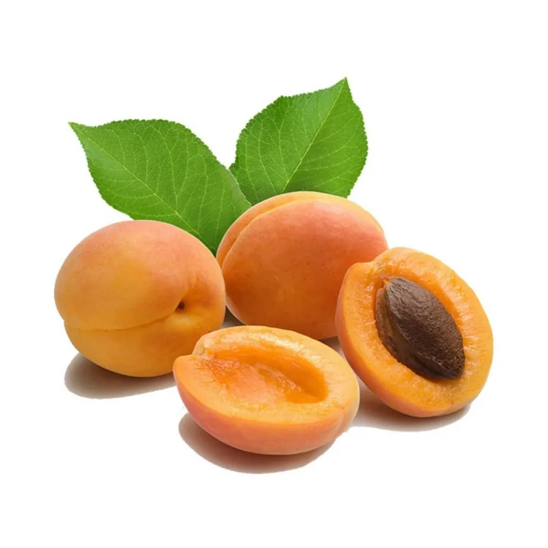 Semillas de Albaricoque Manchurian