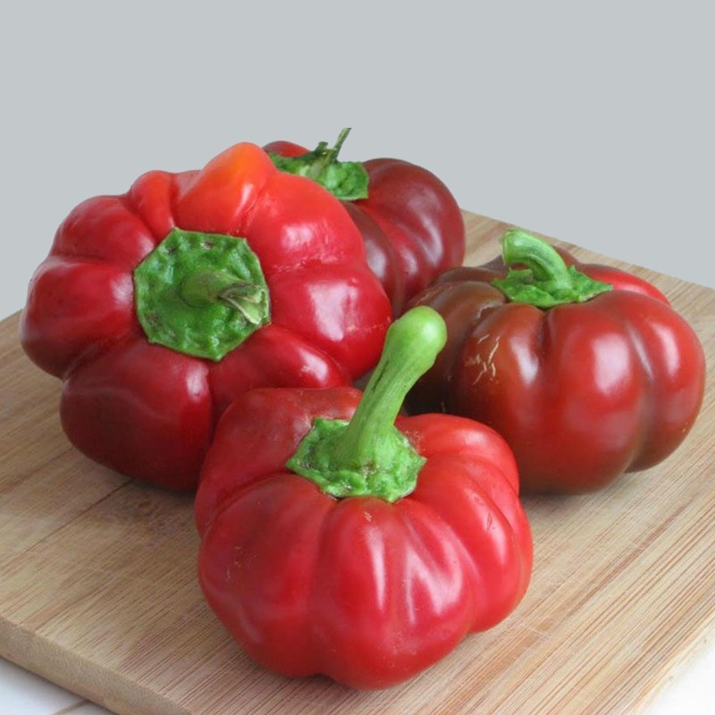 Semillas de chile tailandés de calabaza