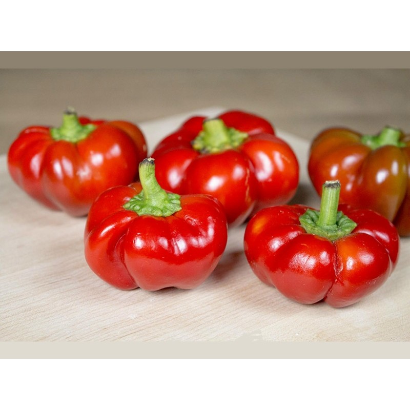 Semillas de chile tailandés de calabaza