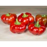 Semillas de chile tailandés de calabaza