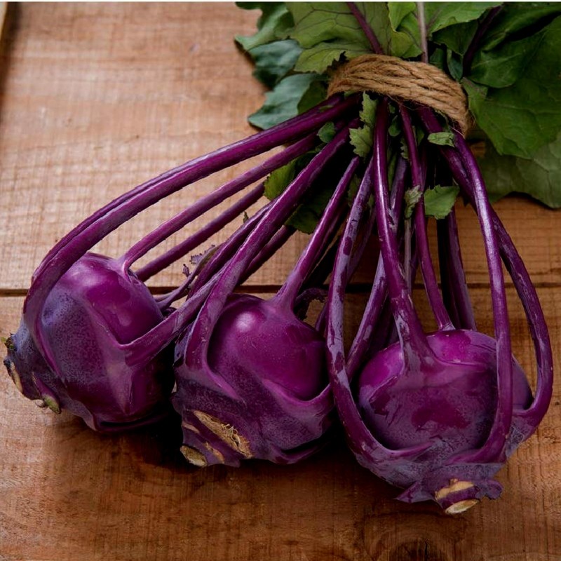 Price: €1.45 - Graines de chou-rave violet de Vienne - 