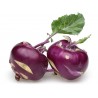 Price: €1.45 - Semi di cavolo rapa Vienna viola - 