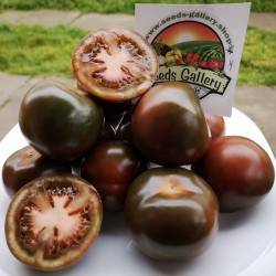 1000 Semillas De Tomate Negro “Kumato” Seeds Gallery - 3