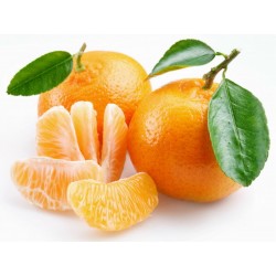Price: €2.049999 - Sementes de Tangerina, laranja-mimosa (Citrus reticulata) - 