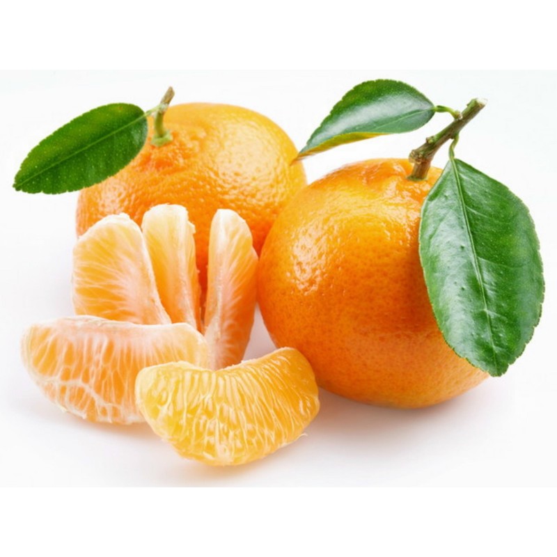 Sementes de Tangerina, laranja-mimosa (Citrus reticulata)  - 5