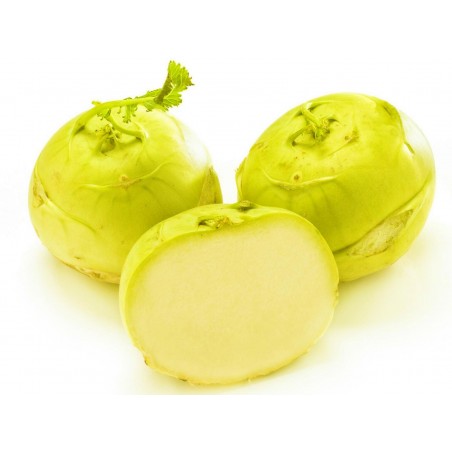 Price: €2.25 - Gelbe Kohlrabi Samen Extra Zart und Groß -