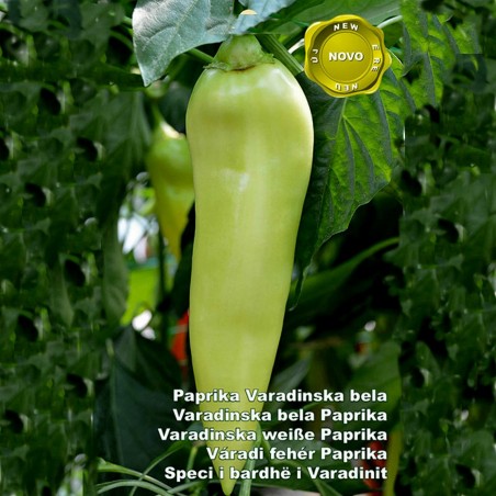 Price: €1.65 - Semi di peperone Varadinska Bianco - 