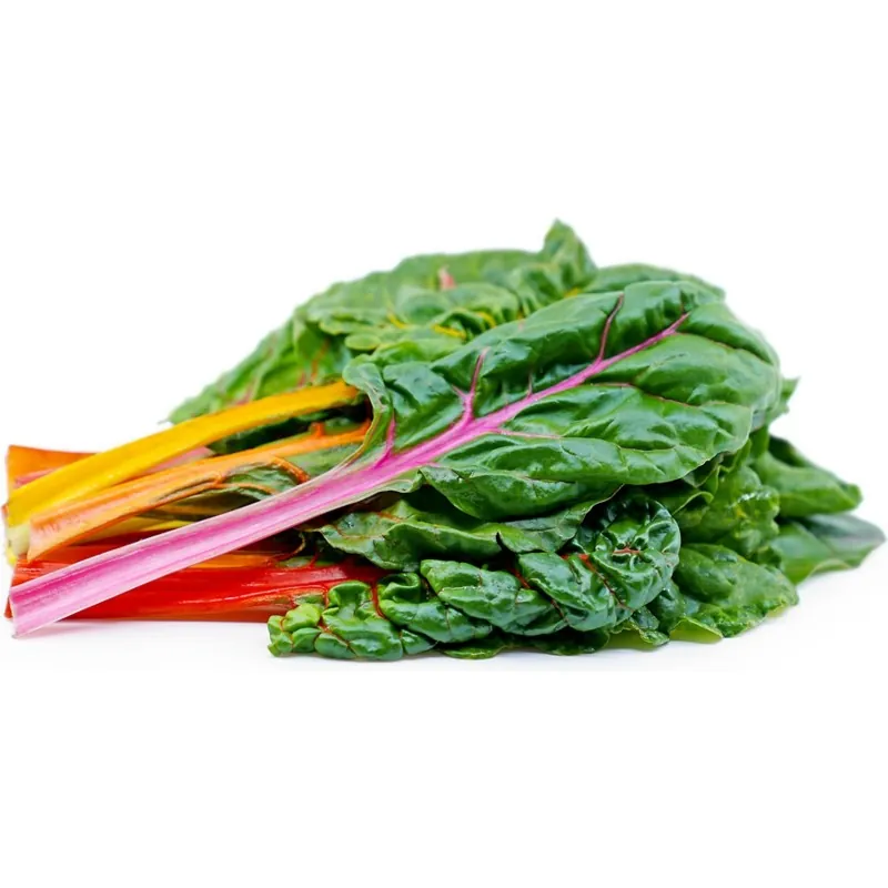 Mangold Samen Swiss Chard Rainbow