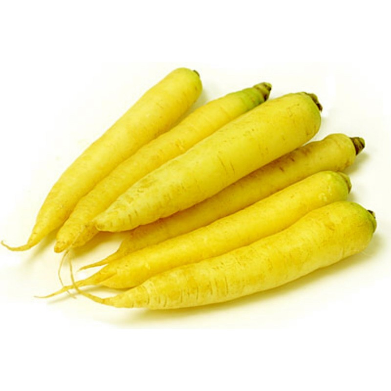 Riesen gelbe Möhre Karotte Samen  - 6