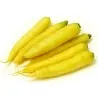 Giant Yellow Carrot Seeds