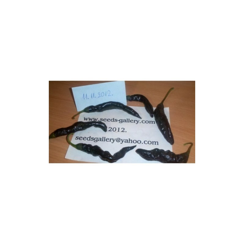 Price: €1.95 - Pasilla Bajio Μαύρο τσίλι σπόροι - Seeds Gallery