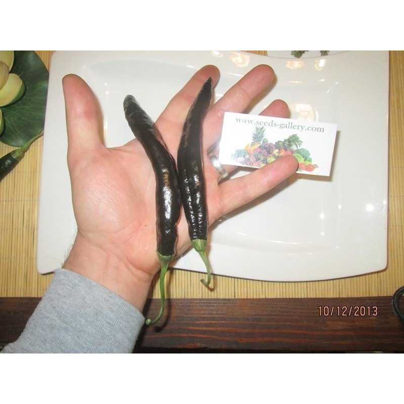 Price: €1.95 - Pasilla Bajio Μαύρο τσίλι σπόροι - Seeds Gallery