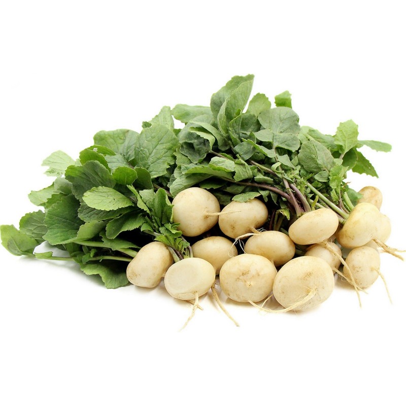 Price: €1.75 - Rotkva zimska bela okrugla seme - 