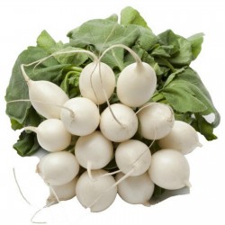 Price: €1.75 - Σπόροι Λευκό Γύρος Χειμώνας Ραπανάκι - 