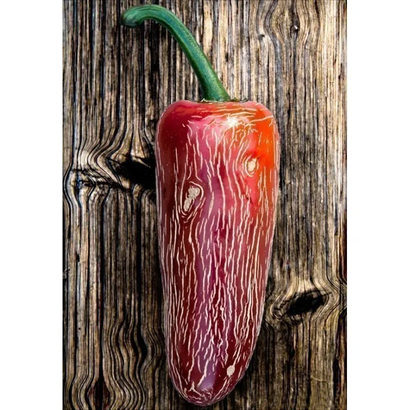 Graines de Piments Jalapeño M (Capsicum annuum)