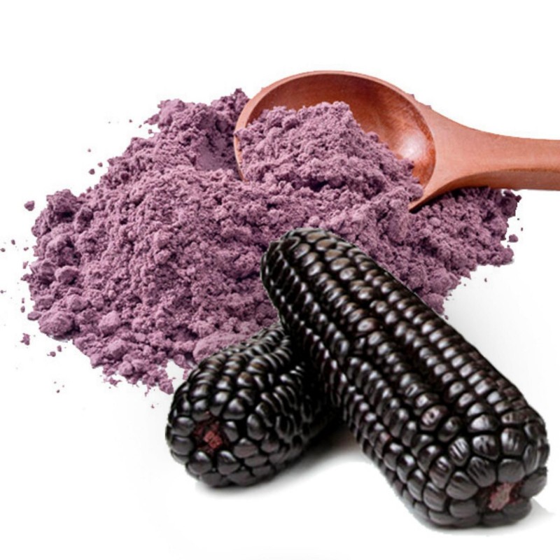 Sementes de Milho Roxo Peruano Maiz Morado "Kculli" Seeds Gallery - 6