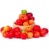 Semillas de Acerola, Wild Crapemyrtle (Malpighia glabra) | 9,00 €