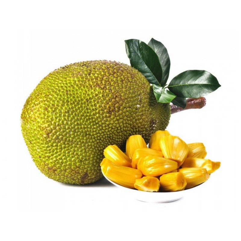 Jackfrukt Frön (Artocarpus heterophyllus) | 5,00 €