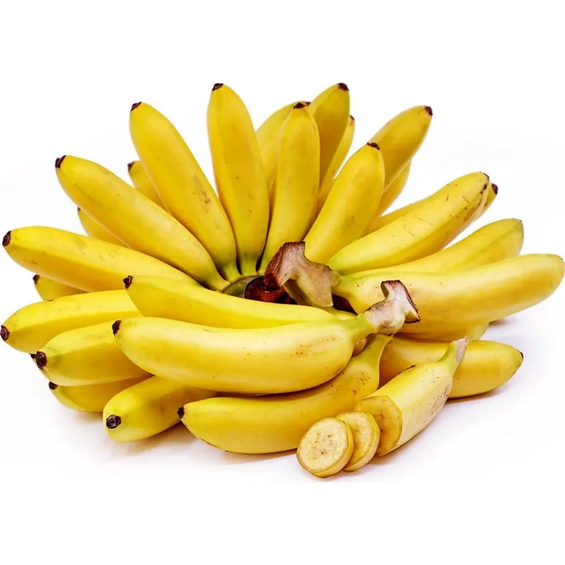 Graines de banane sauvage (Musa balbisiana)