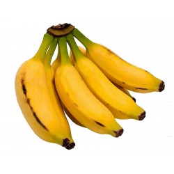 Price: €2.55 - Ädelbanan Frön (Musa acuminata) - 