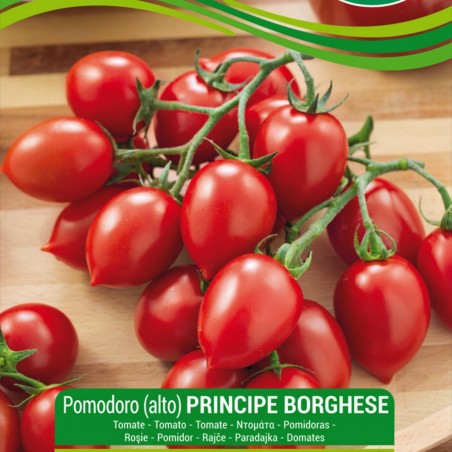 Price: €1.65 - Principe Borghese tomatenzaden - Seeds Gallery
