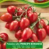 Semi di Pomodoro Principe Borghese