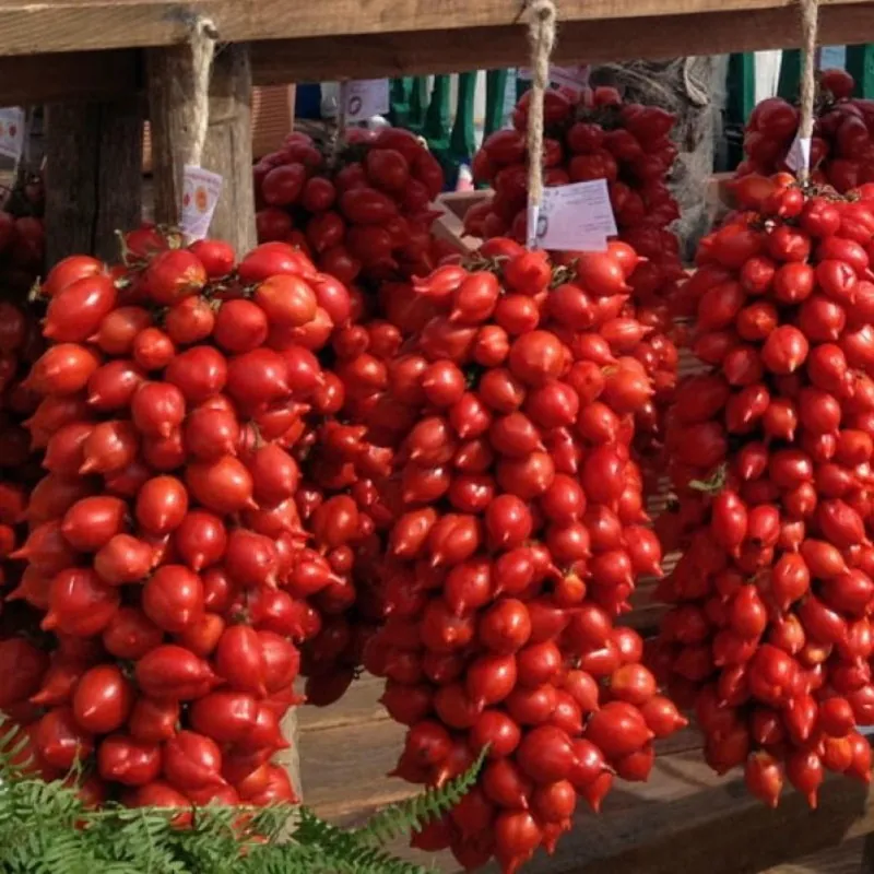 Tomatensamen Principe Borghese
