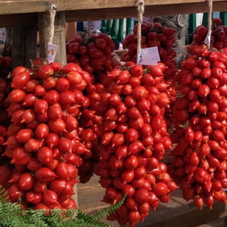 Price: €1.65 - Principe Borghese tomatenzaden - Seeds Gallery