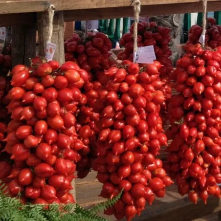 Semi di Pomodoro Principe Borghese