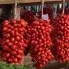 Tomatensamen Principe Borghese