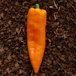 Ramiro sweet Giant pepper Seeds  - 2