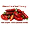 Chili Samen 'Jalapeno M' (Capsicum annuum)