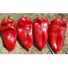 Price: €1.95 - Moravska Kapija Riesenpaprika Samen - 