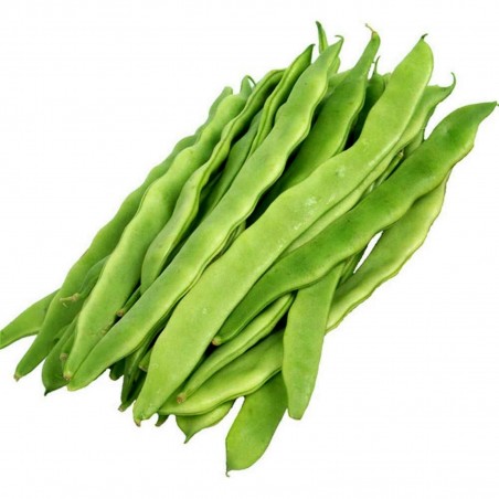 Price: €1.95 - Jewish Helda pole bean seeds - 