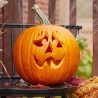 Price: €1.45 - Halloween, Jack’O Lantern Pumpkin Seeds - Seeds Gallery