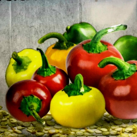Price: €1.55 - قوس قزح بذور الكرز الفلفل الحار - 