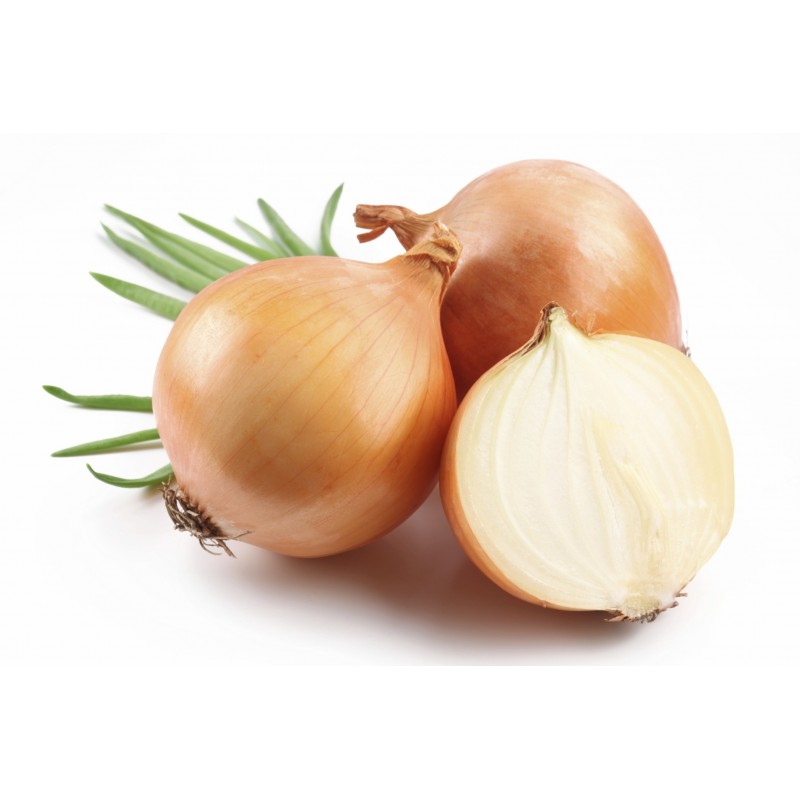 Price: €1.7 - Zwiebelsamen Kupusinski Jabucar (Apfelzwiebel) - Seeds Gallery