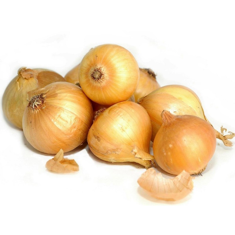 Price: €1.7 - Zwiebelsamen Kupusinski Jabucar (Apfelzwiebel) - Seeds Gallery