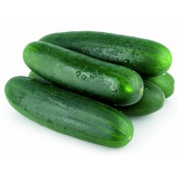 Price: €1.75 - Αγγούρια Σπόροι Sunčani potok (ηλιόλουστη ρυάκι) - Seeds Gallery