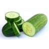 Price: €1.75 - Cucumber Seeds Sunny creek - Seeds Gallery