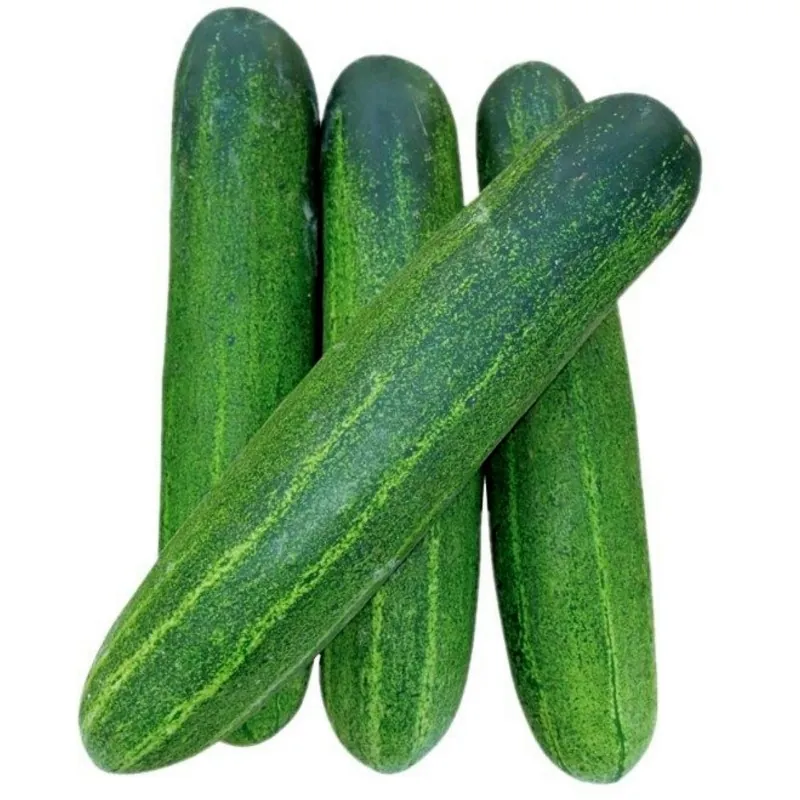 Typhoon Cucumber Seeds