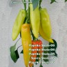 Big Sweet Pepper Seeds Skala | 1,95 €
