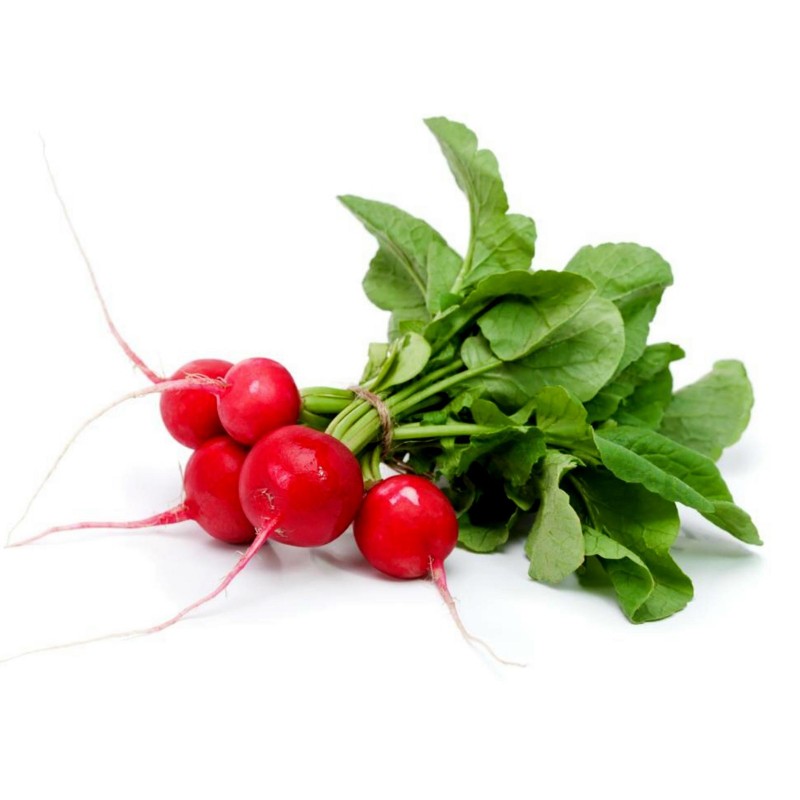 Price: €1.95 - Seme rotkvice Sibirski Princ (Sorta iz Rusije) - 