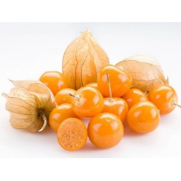 1000 Nasiona miechunki peruwiańskiej (Physalis peruviana) - 37.8