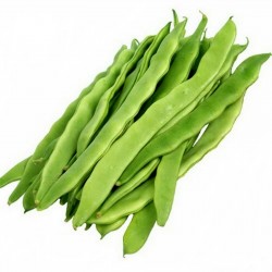 Moscow white beans Seeds  - 2