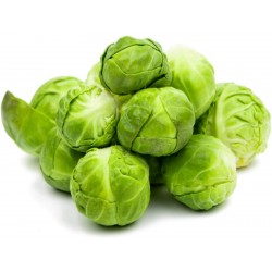 Price: €1.75 - Kelj pupčar seme Sibirski Rani - 