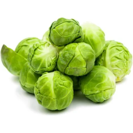 Siberian Early brussel sprouts seeds