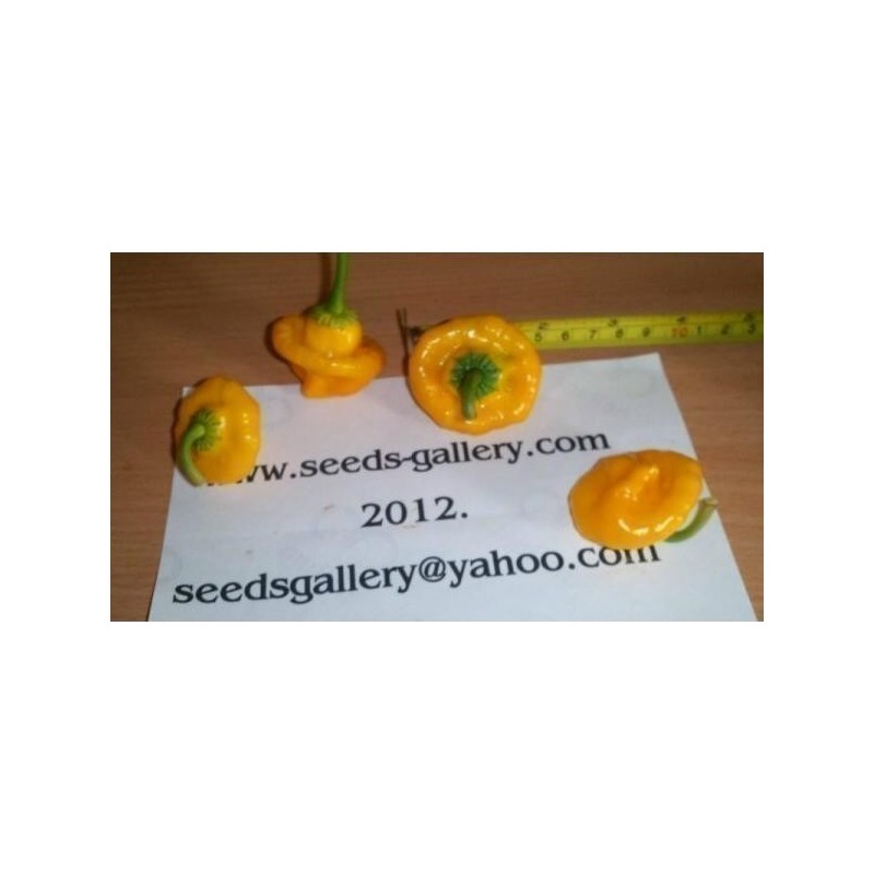 Price: €2.05 - Sementes De Pimenta Jamaican Yellow Amarela - Seeds Gallery