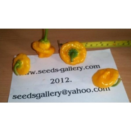 Price: €2.05 - Sementes De Pimenta Jamaican Yellow Amarela - Seeds Gallery