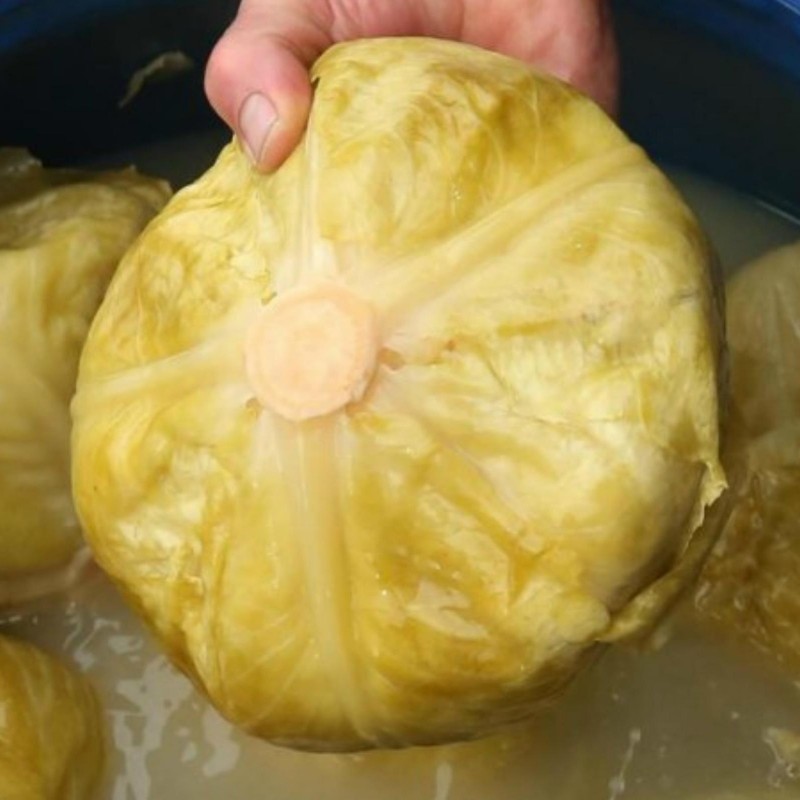 Price: €1.95 - Varazdin cabbage seeds - 